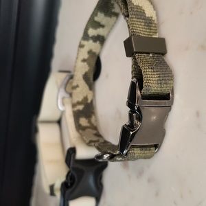 The Active Boi Dog Collar Set
